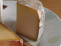 В Калининградской области планируется запустить промышленное производство овечьего сыра