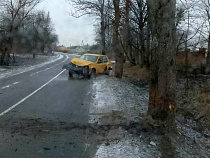 Водитель «Яндекс.Такси» трамировал шею в ДТП под Калининградом