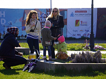 Льготной ипотекой планируют обеспечить более 500 калининградских семей