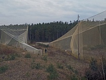 На Куршской косе начали установку гигантских сетей