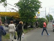 В Калининграде на выезде из города автокран сбил столб 