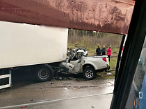 ГИБДД рассказала подробности смертельного ДТП на Балтийской трассе