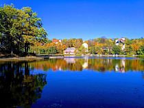 30 млн рублей выделено в 2019 году на переезд высокооплачиваемых работников в Калининградскую область