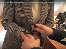 Полиция надела наручники главврачу роддома прямо перед объективом телекамеры (видео)