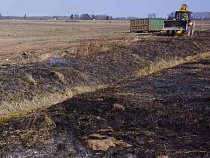 165 пожарных тушили поля и свалки - МЧС