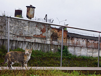 Прокурор повелел оштрафовать замначальника колонии в замке Тапиау