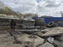 Мусорного короля пожурили за бедлам на Правой Набережной