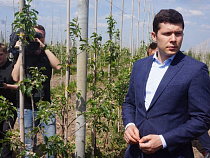 Под Калининградом появится первое фруктохранилище на 5 000 тонн