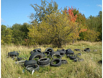 В Гурьевском районе нашли огромную свалку покрышек