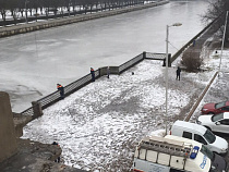 В Калининграде спасают собаку со льда Преголи 