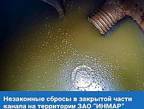 Алиханов назвал сбрасывавшие отходы в реку Лесную предприятия