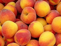 Названы главные поставщики персиков в Калининградскую область