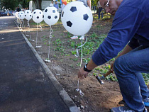 Из казны Калининградской области на физкультуру и спорт потратили 647 млн 231 тысячу рублей