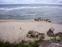 МЧС: в Заостровье нашли артиллерийский снаряд