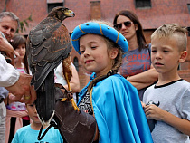 В Зеленоградске пройдёт праздник филинов, сов и соколов (программа праздника)