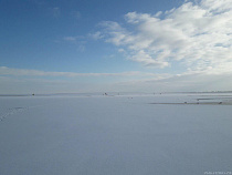 На Куршском заливе встал 10-балльный лёд (фото)