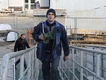 В Калининграде спасли тонущую собаку