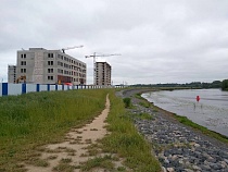 Калининград профинансирует озеленение федералам на острове Октябрьском