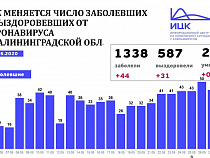 Калининград попал в антирейтинг заболеваемости коронавирусом