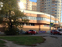 Калининградка повалила светофор (фото)