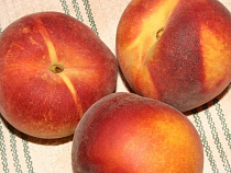 Очередную партию «санкционки» задержали в МАПП Мамоново