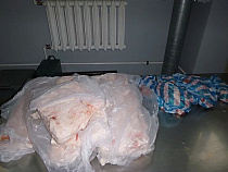 За сутки на границе с Калининградской областью задержали 5 граждан с продукцией из свинины