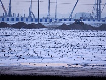 Строители приступили к заливке фундамента стадиона ЧМ-2018