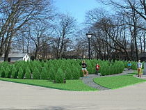  В Калининградском зоопарке 19 апреля высадят 180 туй