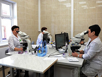 Александр Кравченко: зарплата врачей у нас должна будет составлять 50 677 рублей