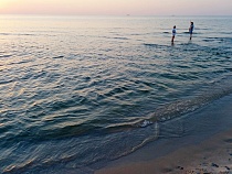 В Калининградской области вода остыла для моржей