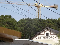 Светлогорск теряет зелень: лес на склоне уходит инвесторам