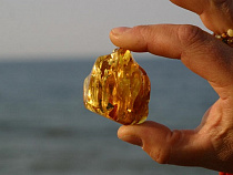 В Литве повысят налоги за добычу янтаря в 44 раза
