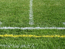 В рамках подготовки к ЧМ-2018 в Калининград из Польши завезут 60 машин газона