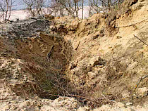 «Черный копатель» не смог отстоять мотопомпу в суде