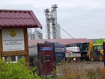 Фермер из Гурьевска заплатил 1,2 млн немцам за своих баранов 