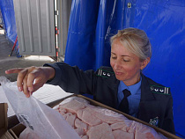 Из Турции в Калининград ввезли 26 тонн старой курицы