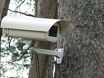 В калининградских лесах появились новые видеокамеры