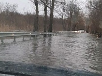 «Вода всё выше и выше!»: затопило единственную дорогу в Прегольский