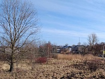 Власти Зеленоградска не смогли продать котельную у школы на Куршской косе