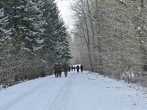 В Озёрском районе мужчину застукали с убитой косулей