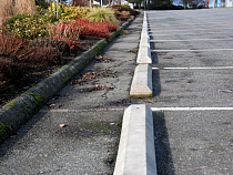 Охранник автостоянки на улице Грига украл у работодателя дневную выручку 