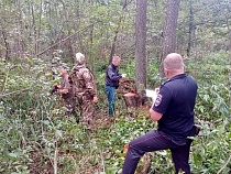 В Славском районе поймали массово вырубавшего ольху браконьера