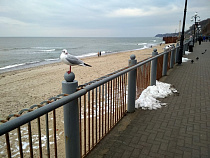 Температура в Калининградской области в апреле будет колебаться от -5 до +20