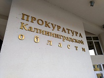 Прокуратура начала проверку по поводу платных заданий в школе Калининграда 