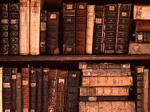 В 2016 году Калининград станет Библиотечной столицей России