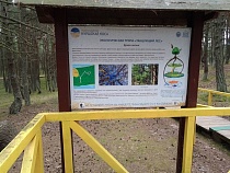 Куршскую косу ждёт «миллион друзей» и одна экологическая катастрофа