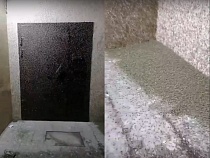 В Прибрежном началось нашествие мух-зеленушек (видео)