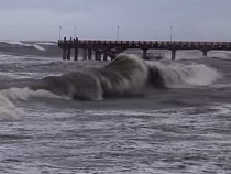 Калининградские депутаты поддержали централизацию Зеленоградского района 