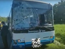 Опубликовано видео с места ДТП с автобусом Калининград – Мамоново 