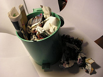 Эксперты: Калининградская область может полностью перейти на раздельный сбор отходов с 2018 года